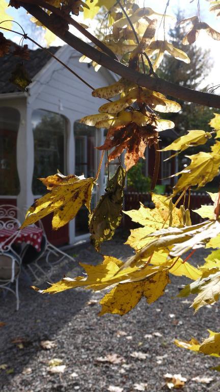 Brostugans Bed & Breakfast Järvsö Exterior foto